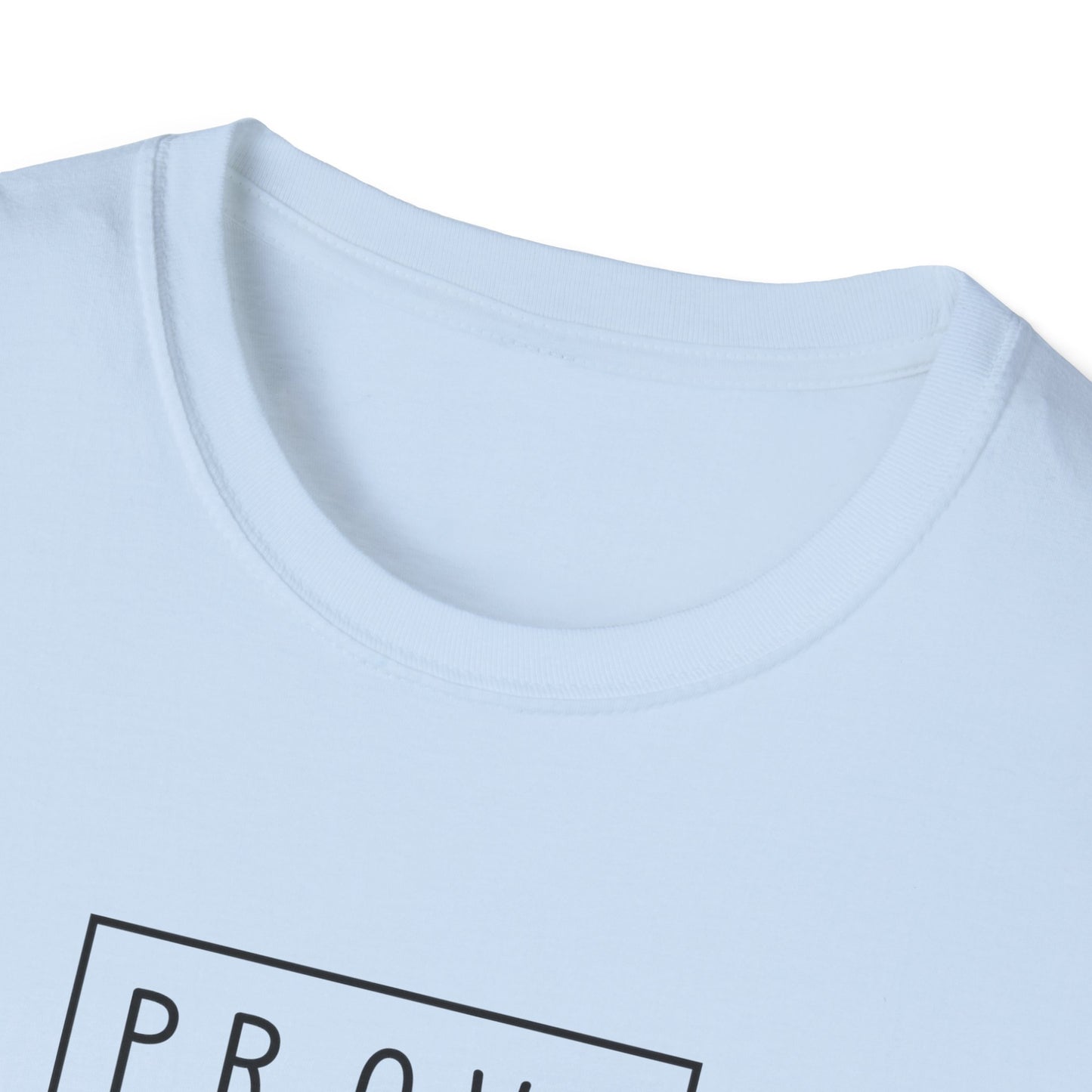 Prove a Dude Wrong Unisex Softstyle T-Shirt