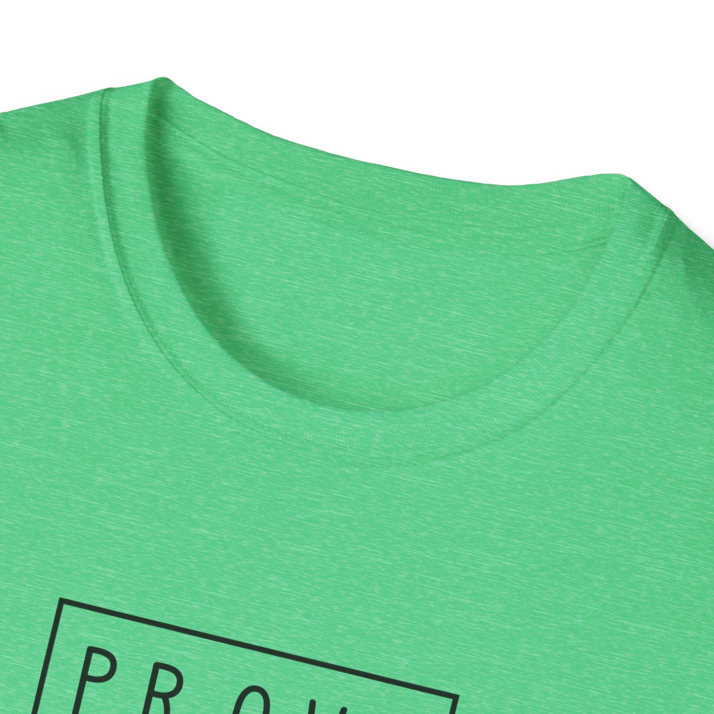 Prove a Dude Wrong Unisex Softstyle T-Shirt