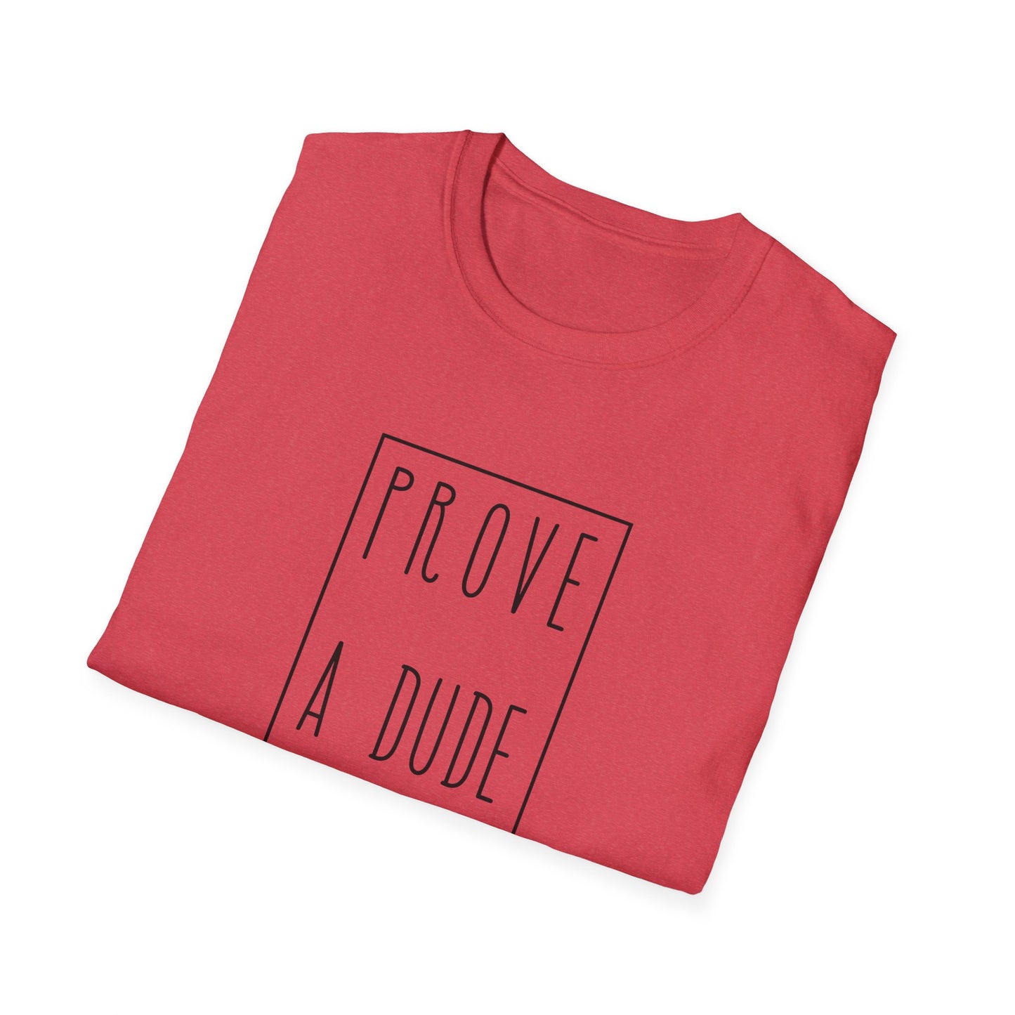 Prove a Dude Wrong Unisex Softstyle T-Shirt