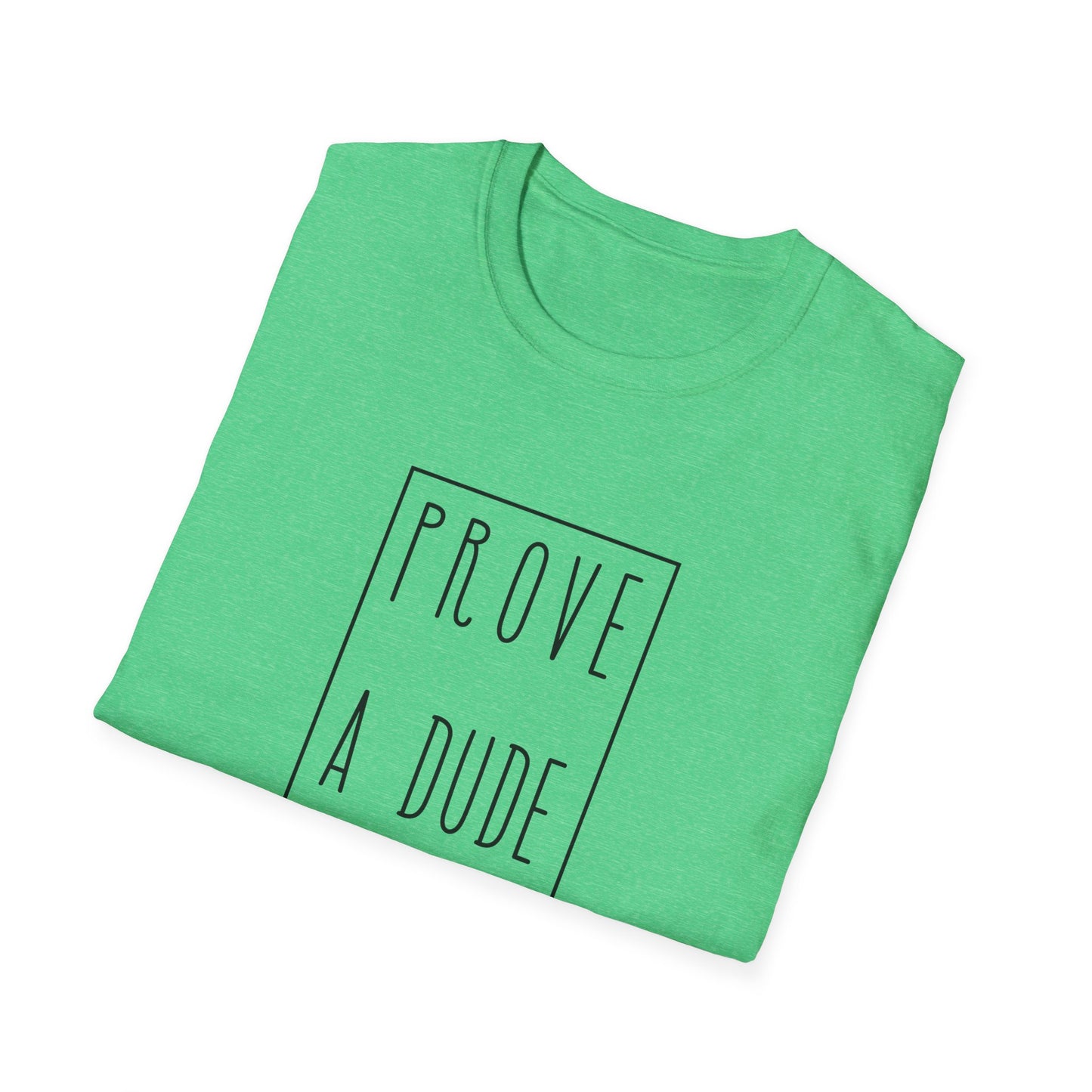 Prove a Dude Wrong Unisex Softstyle T-Shirt