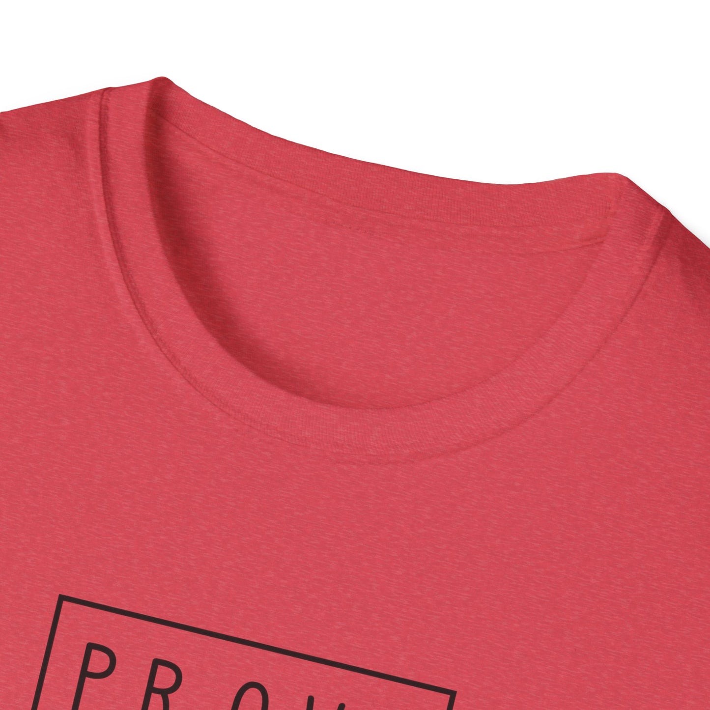 Prove a Dude Wrong Unisex Softstyle T-Shirt