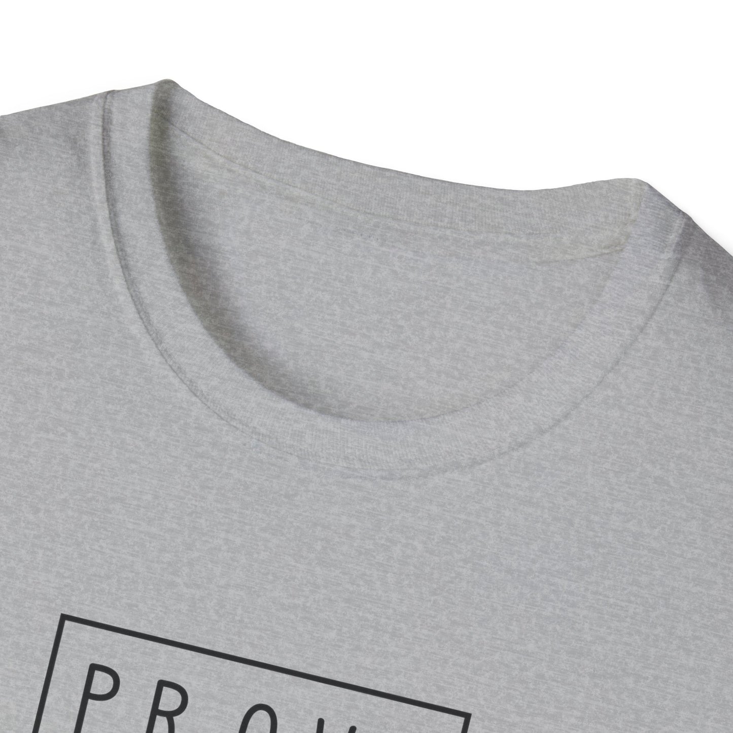 Prove a Dude Wrong Unisex Softstyle T-Shirt